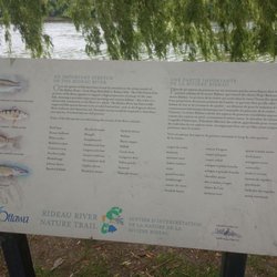 Rideau River Nature Trail - Informational sign along the Rideau River Nature Trail