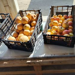 McGrath Family Farms - Plums, oranges, apples