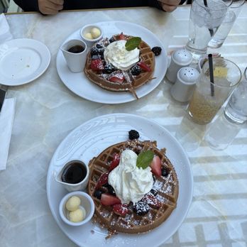Primrose - Waffles and berries - New American Near Me - Las Vegas, Nevada Primrose - Waffles and berries - New American Near Me - Las Vegas, Nevada