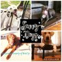 Photo of savvy dogs