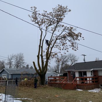 Adrian's Tree and Landscape Services - Adrian and crew. - Tree Services Near Me - West Point, Utah