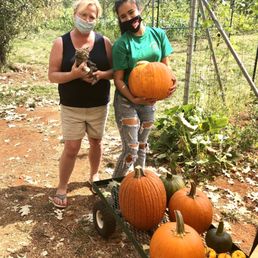 The lovely ladies of O'Halloran's who sold me my pumpkins