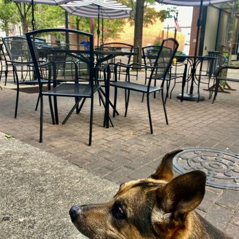Gaston Brewing Restaurant - Our pup - Brewpubs Near Me - Fayetteville, North Carolina Gaston Brewing Restaurant - Our pup - Brewpubs Near Me - Fayetteville, North Carolina