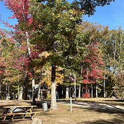 Heart of the Forest Campground