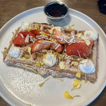 OLIVIA - The Waffle - Italian Near Me - Tampa, Florida OLIVIA - The Waffle - Italian Near Me - Tampa, Florida