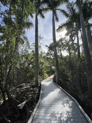 Four Mile Cove Ecological Preserve by null