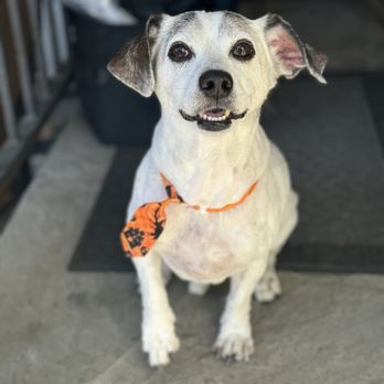 Grooming With Spice - Pet Groomers Near Me Grooming With Spice - Pet Groomers Near Me
