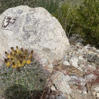 Sabino Canyon - The turnaround... 3.7 miles - Parks Near Me - Tucson, Arizona Sabino Canyon - The turnaround... 3.7 miles - Parks Near Me - Tucson, Arizona