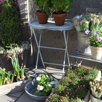 Hellborgs blommor - Solen gör så mycket för vackra blommor. - Florists Near Me - Stockholm, Alberta Hellborgs blommor - Solen gör så mycket för vackra blommor. - Florists Near Me - Stockholm, Alberta