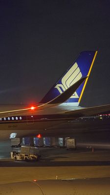 Singapore Changi Airport by null