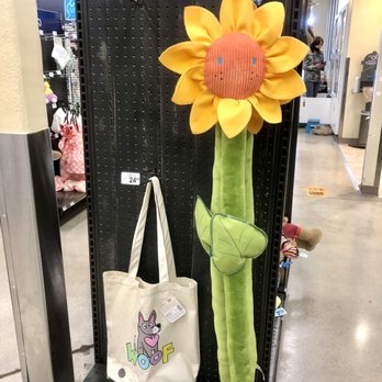 Petco - Pet Training Near Me - Pembroke Pines, Florida