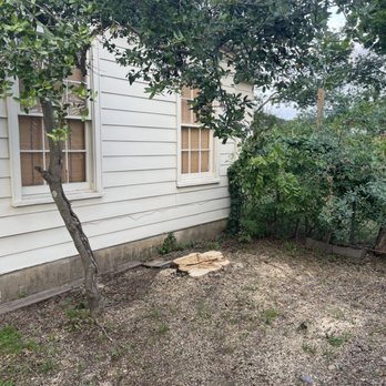 Jaimes Tree Service - Tree Services Near Me Jaimes Tree Service - Tree Services Near Me