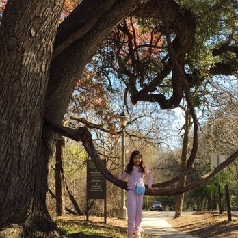 Brackenridge Park - Parks Near Me - San Antonio, Texas Brackenridge Park - Parks Near Me - San Antonio, Texas
