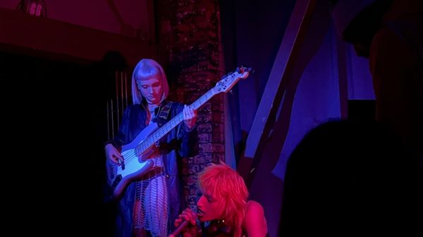 Harvard and Stone by null