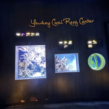 New England Aquarium - Yawkey coral reef center - Aquariums Near Me - Boston, Massachusetts New England Aquarium - Yawkey coral reef center - Aquariums Near Me - Boston, Massachusetts
