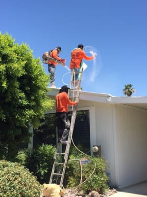 Vision Roof Services