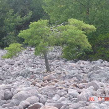 Hickory Run State Park - a solitary tree - Parks Near Me - White Haven, Pennsylvania Hickory Run State Park - a solitary tree - Parks Near Me - White Haven, Pennsylvania