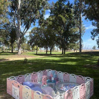 LD Softplay - Party Equipment Rentals Near Me LD Softplay - Party Equipment Rentals Near Me