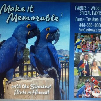The Bird Guy - Nice and Friendly Tropical Birds for hire !!! "Have Birds, will Travel" Lots of fun !!! - Event Planning & Services Near Me The Bird Guy - Nice and Friendly Tropical Birds for hire !!! "Have Birds, will Travel" Lots of fun !!! - Event Planning & Services Near Me