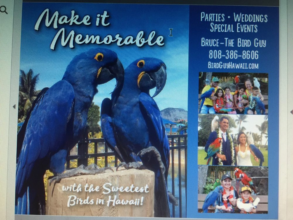 THE BIRD GUY 57 Photos & 10 Reviews Honolulu, Hawaii Event