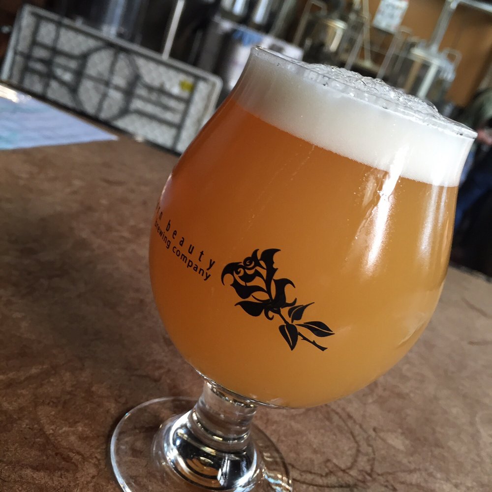 Stubborn Beauty Brewing - Breweries Near Me - Middletown, Connecticut Stubborn Beauty Brewing - Breweries Near Me - Middletown, Connecticut