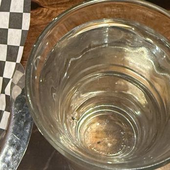 Aroma Indian Cuisine - Cup of water with bug - Indian Near Me - Benicia, California Aroma Indian Cuisine - Cup of water with bug - Indian Near Me - Benicia, California