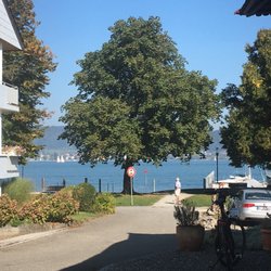 Torkelstube - Sicht auf den See, von der Terrasse...