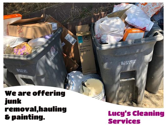 LUCY’S CLEANING SERVICES - Updated January 2025 - 68 Photos & 237