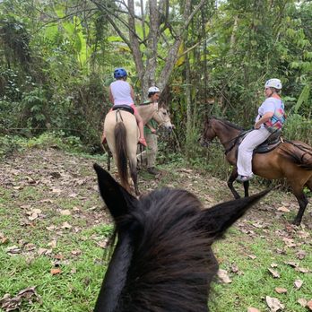 Batey Adventures - Horseback Tour - Rafting/Kayaking Near Me - Utuado, Puerto Rico