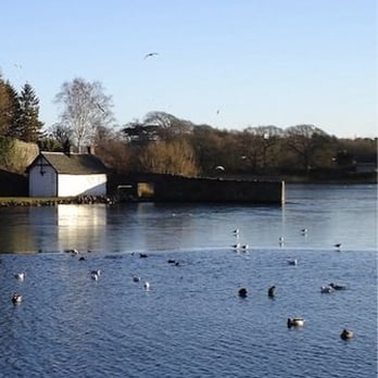 The Sheep Heid Inn - Duddingston Loch from official website - Pubs Near Me - Edinburgh, EDH
