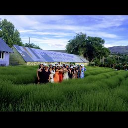 6/15/2019 Raquel & Danny's Wedding at Lavender Ridge Reno,NV