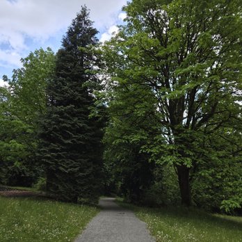 Burnaby Mountain - Observatories Near Me - Vancouver, British Columbia