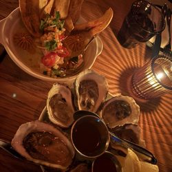 Ceviche and oysters