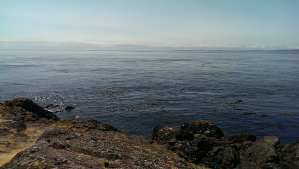 Lime Kiln Point State Park by null