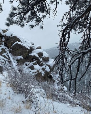 Lory State Park by null