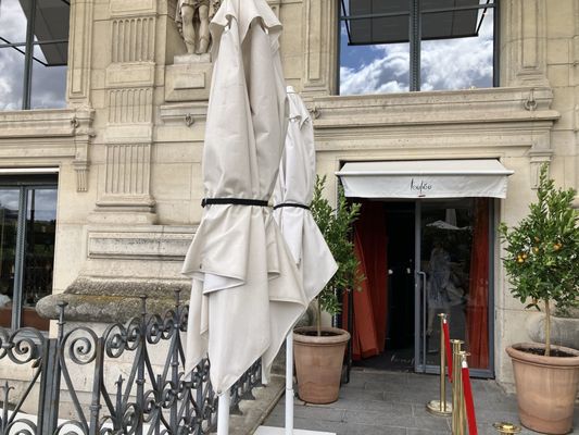 Loulou by null Loulou by null