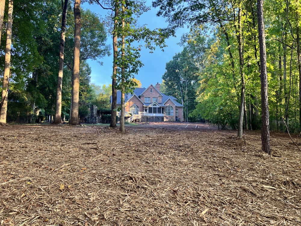 Boom Brush Control - tree service in Charlotte, NC