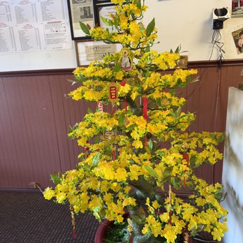 China Wok - Colorful Tree next to Check-Out - Chinese Near Me - Godfrey, Illinois China Wok - Colorful Tree next to Check-Out - Chinese Near Me - Godfrey, Illinois