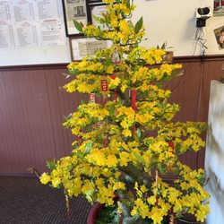 China Wok - Colorful Tree next to Check-Out