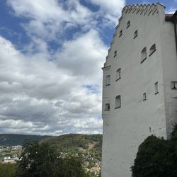 Falkenhof Schloss Rosenburg Artenschutz und Forschungsstation - Die Rosenburg