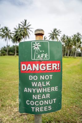 Kahanu Garden, National Tropical Botanical Garden by null
