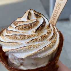 Wild Scoops in Anchorage gift card