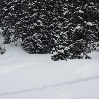 Butler Gulch - Fresh tracks! - Hiking Near Me - CO, Colorado