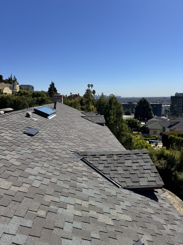 Slide of DLS Development