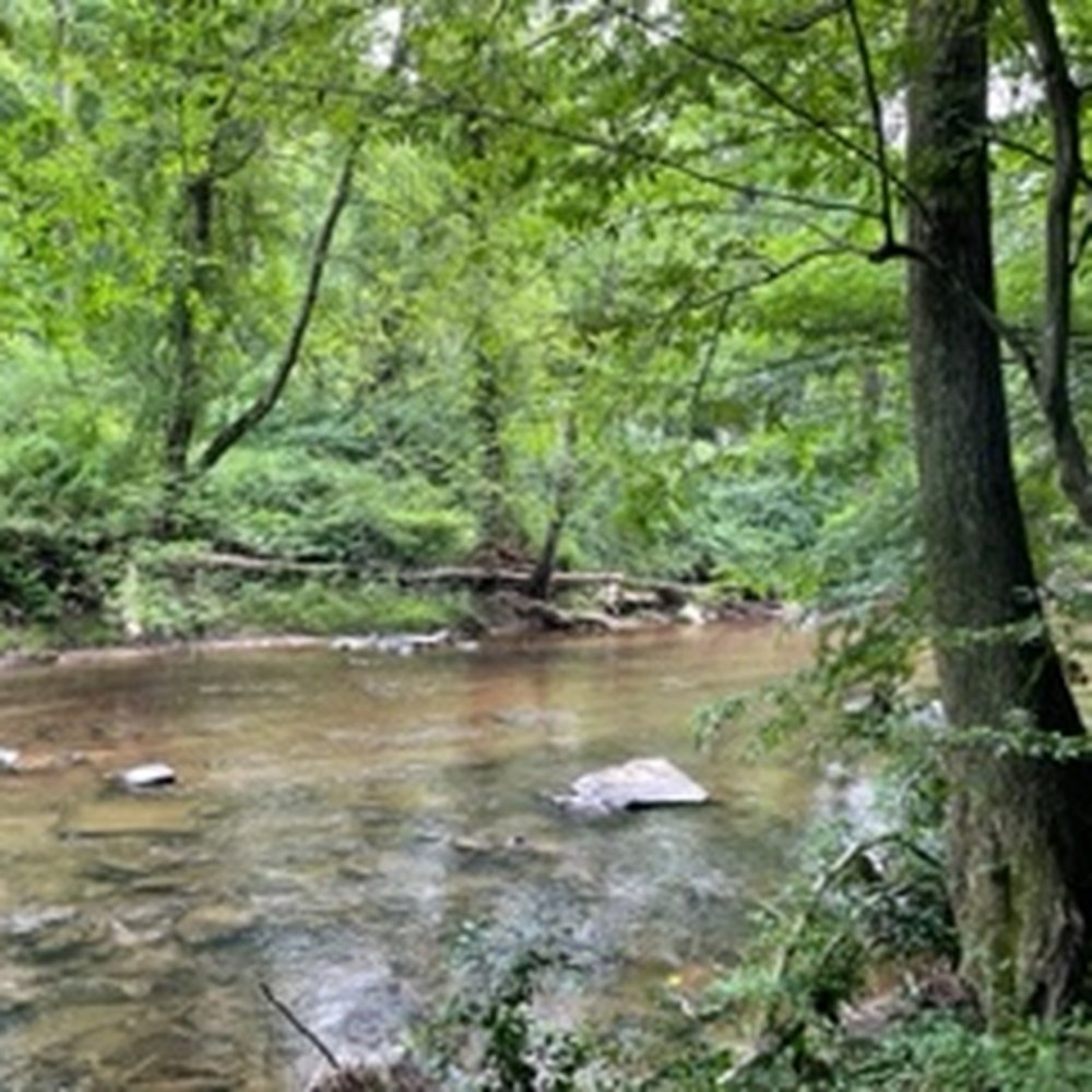 Gunpowder Falls State Park - Parks Near Me - Bradshaw, Maryland Gunpowder Falls State Park - Parks Near Me - Bradshaw, Maryland
