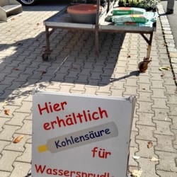 Blumen Steinauer