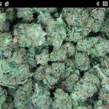 Marijuana Delivery Line - Platinum OG Kush Potpaparazzi@gmail.com #potpaparazzi - Cannabis Dispensaries Near Me - Las Vegas, Nevada Marijuana Delivery Line - Platinum OG Kush Potpaparazzi@gmail.com #potpaparazzi - Cannabis Dispensaries Near Me - Las Vegas, Nevada