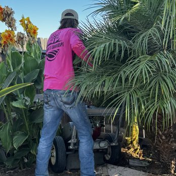 Fleming’s Landscape - Grinding the stump - Lawn Services Near Me Fleming’s Landscape - Grinding the stump - Lawn Services Near Me