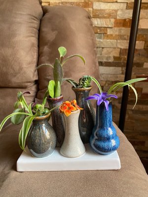 Indoor Outdoor Gardener