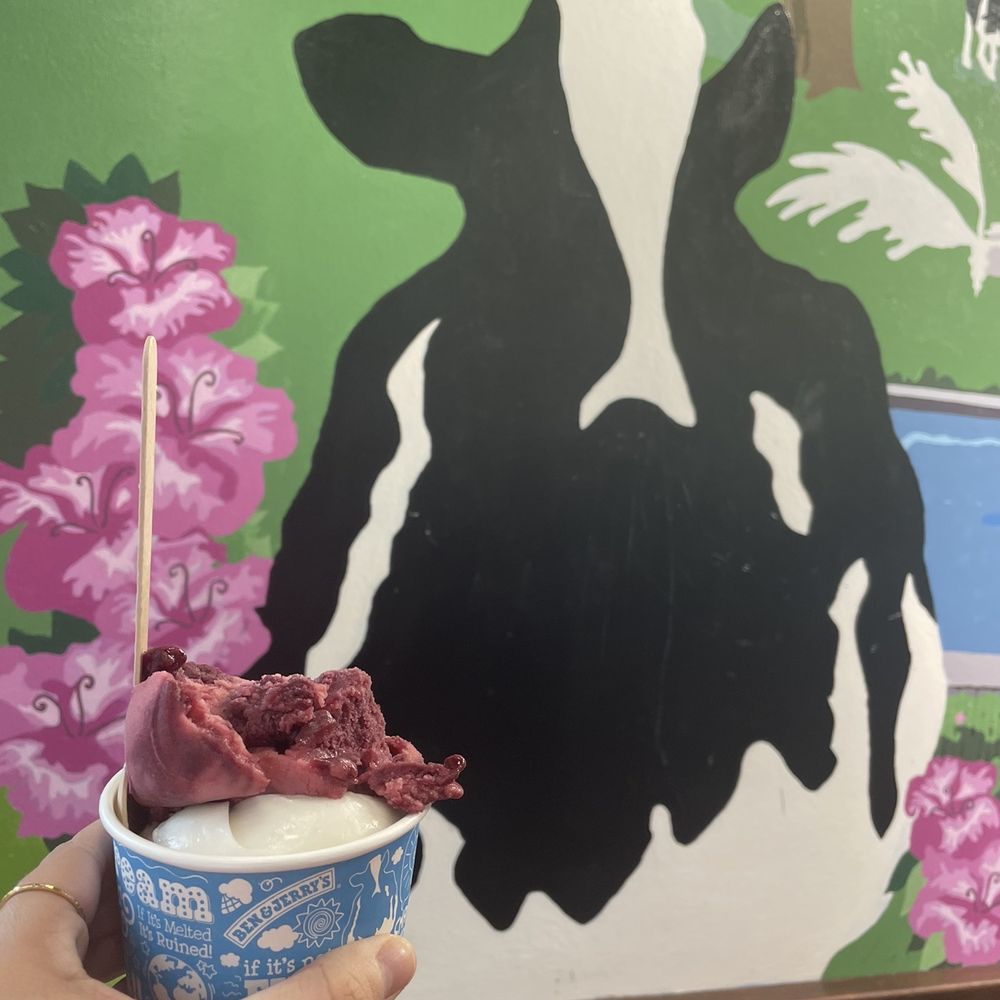 Ben & Jerry’s - Lemonade and berry ice cream - Custom Cakes Near Me - Savannah, Georgia Ben & Jerry’s - Lemonade and berry ice cream - Custom Cakes Near Me - Savannah, Georgia